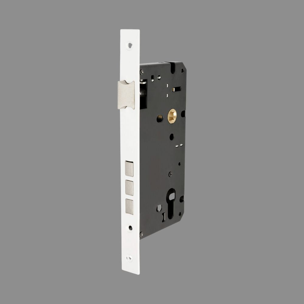 Euro Mortice Locks By Zanda