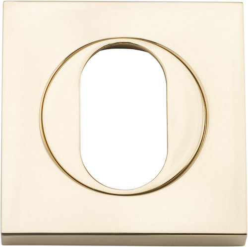 Oval Escutcheon - Square By Iver