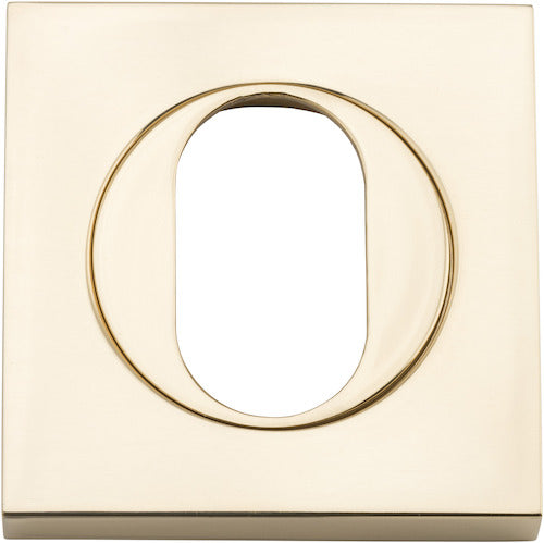 Escutcheon Oval Square Pair by Iver