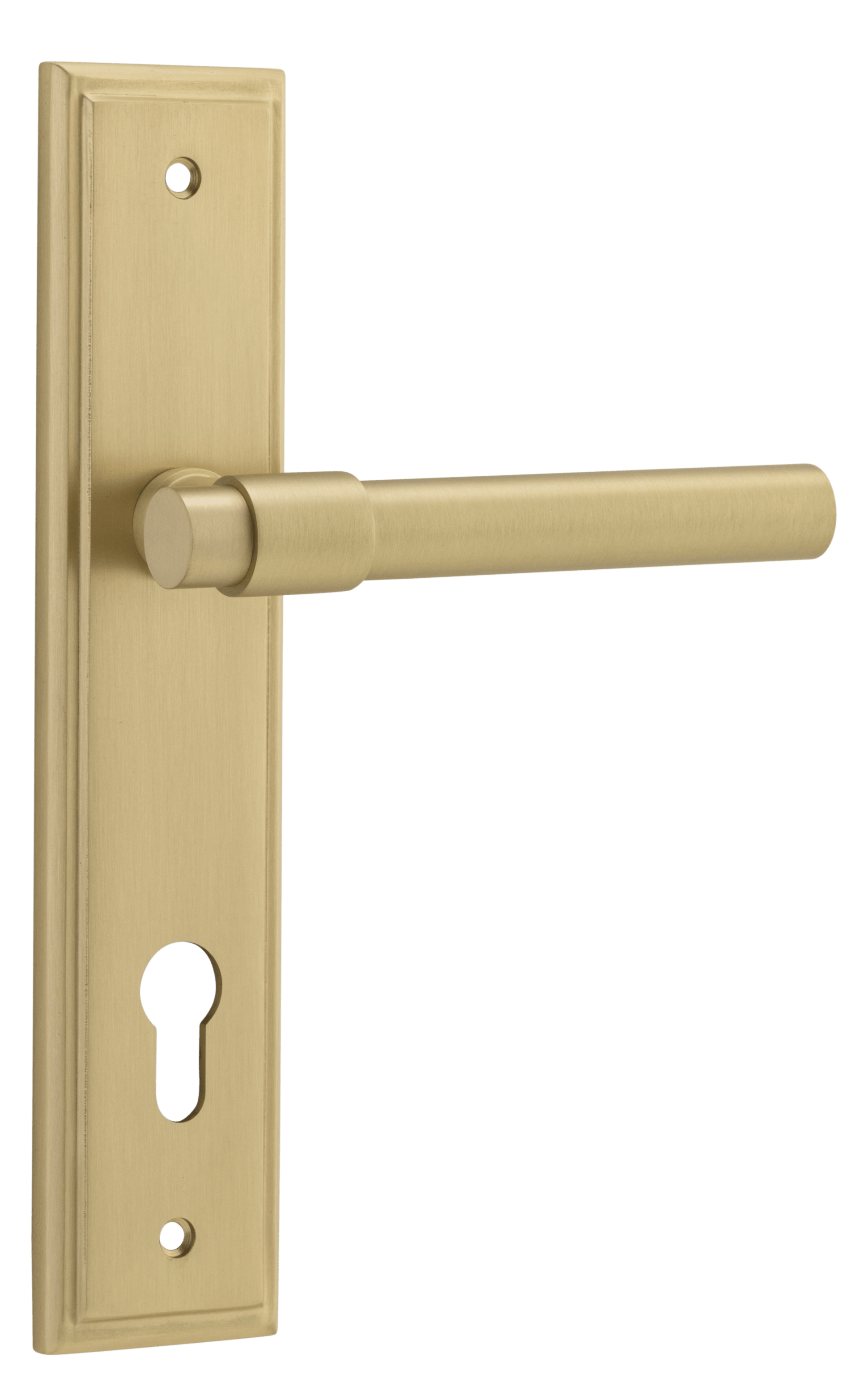 Helsinki Lever - Stepped Backplate - Entry Point - Iver - Brushed Gold PVD - Door Levers