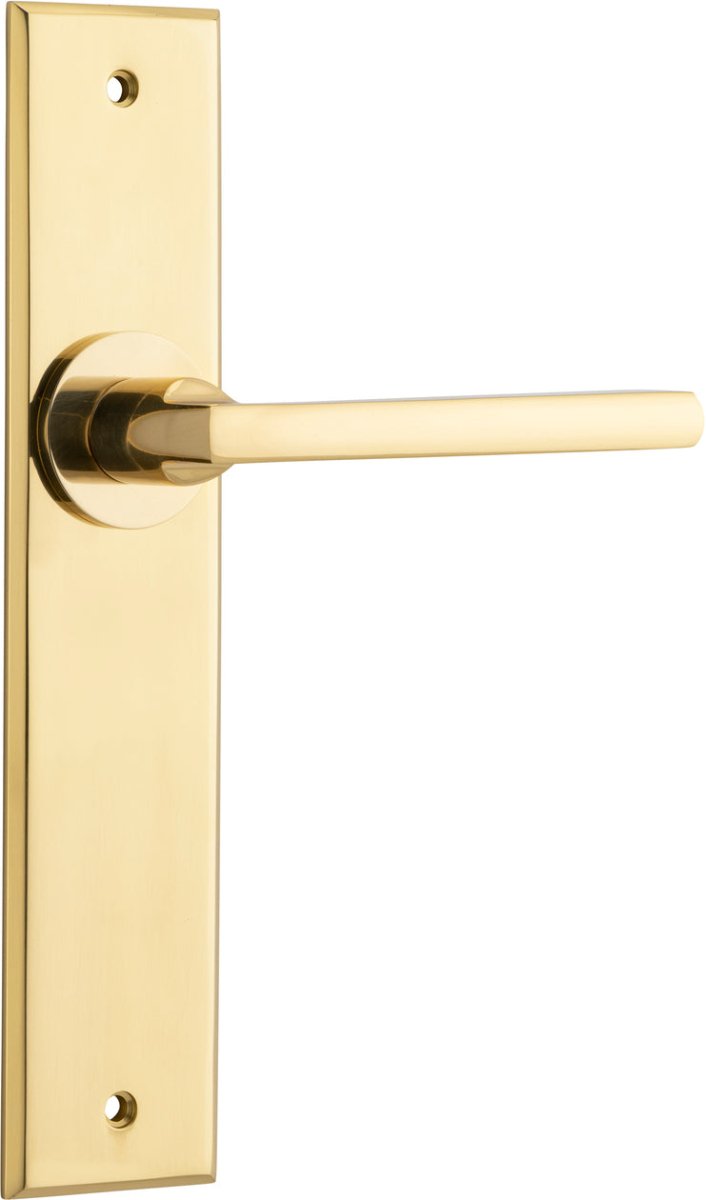 Baltimore Lever - Chamfered Backplate - Entry Point - Iver - Polished Brass - Door Levers