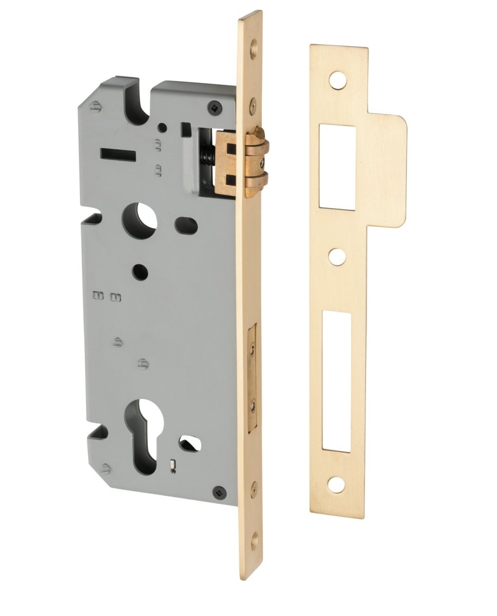 Euro Roller Mortice Locks - Entry Point - Iver - Brushed Brass - External Locks